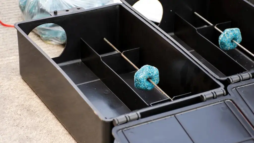 Open rat bait stations with bait blocks