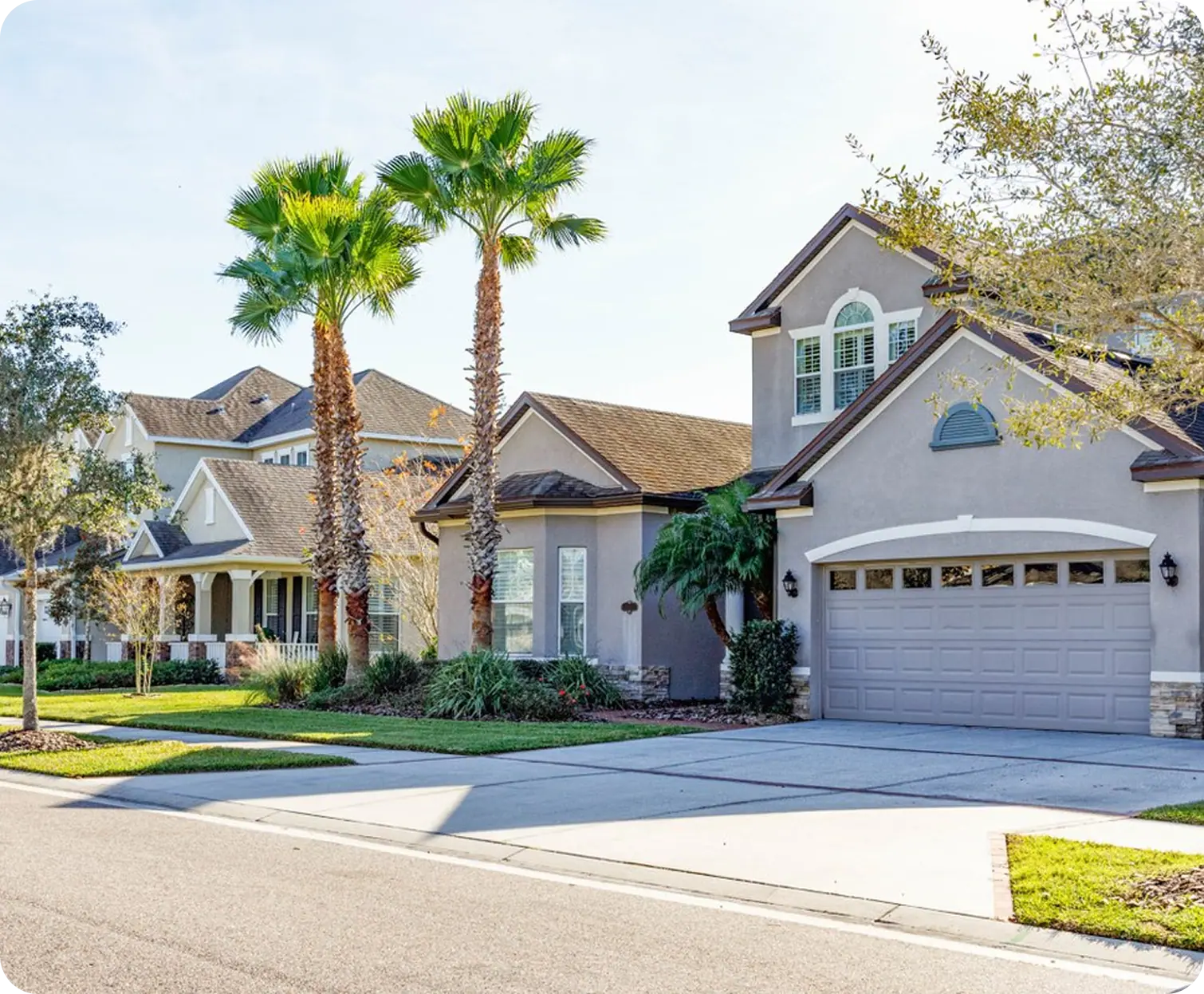 Two-story homes with palm trees on a Tampa street