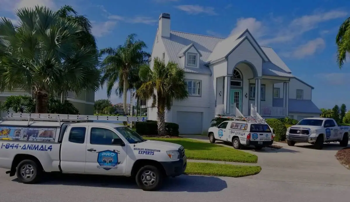 Pro Wildlife Removal trucks parked outside a two-story home with palm trees